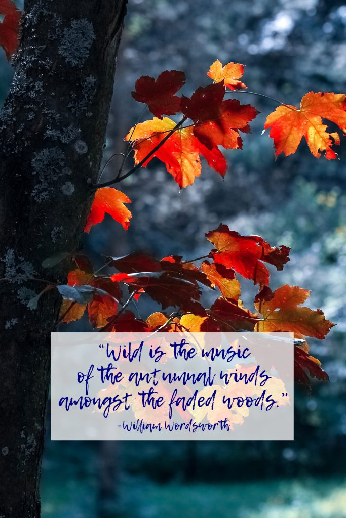 Autumnal Winds William Wordsworth Quote