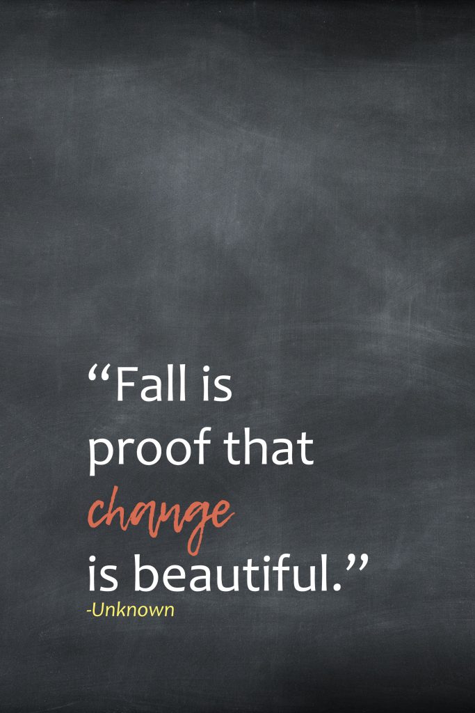 Fall is Proof That Change is Beautiful Unknown