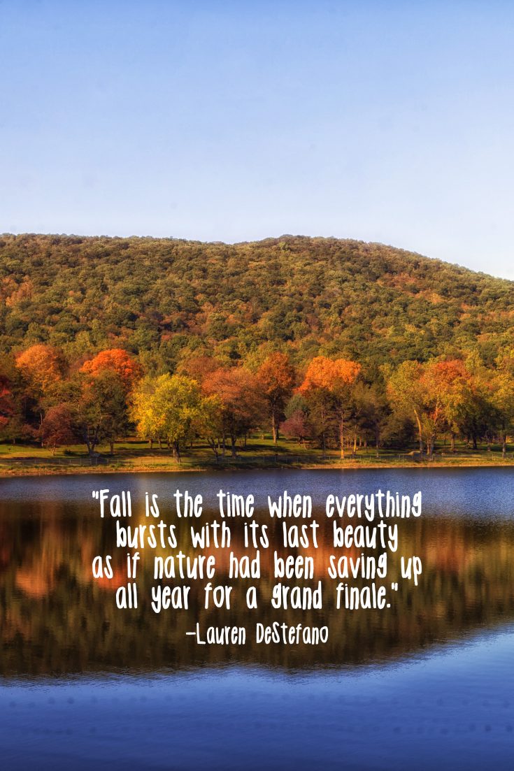 Free Autumn Quote Printables • Rose Clearfield