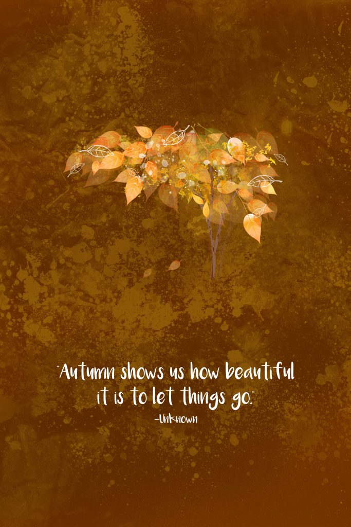 Autumn Shows Us How Beautiful It Is to Let Things Go Quote