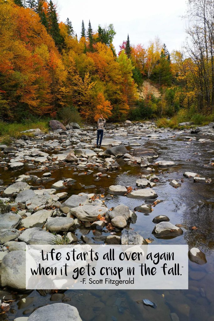 Life Starts All Over Again F. Scott Fitzgerald Quote