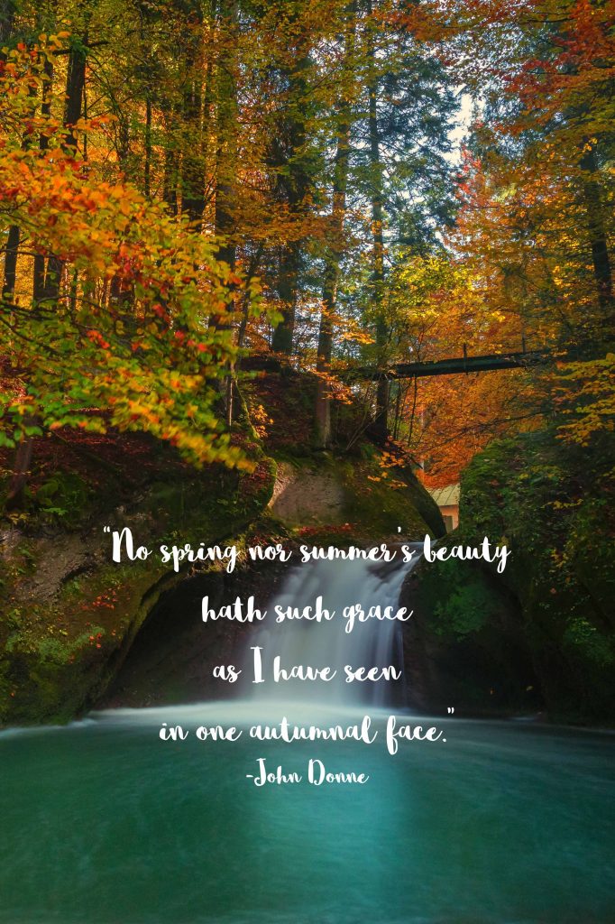 One Autumnal Face John Donne Quote