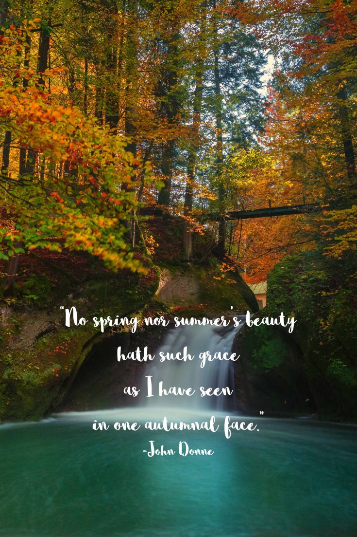 Free Autumn Quote Printables • Rose Clearfield