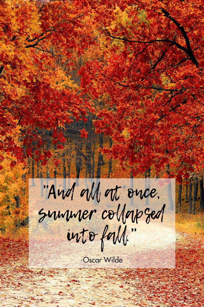 Summer Collapsed Into Fall Oscar Wilde Quote