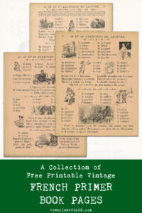 A Collection of Free Printable Vintage French Primer Book Pages