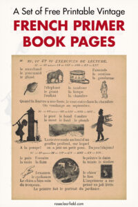 A Set of Free Printable Vintage French Primer Book Pages