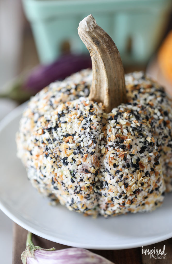 Everything Bagel Seasoned Pumpkin Cheeseball Inspired by Charm