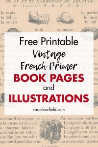 Free Printable Vintage French Primer Book Pages and Illustrations