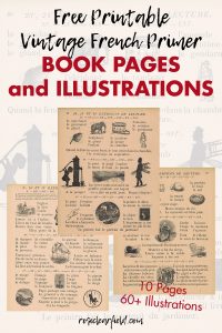 Free Printable Vintage French Primer Book Pages and Illustrations