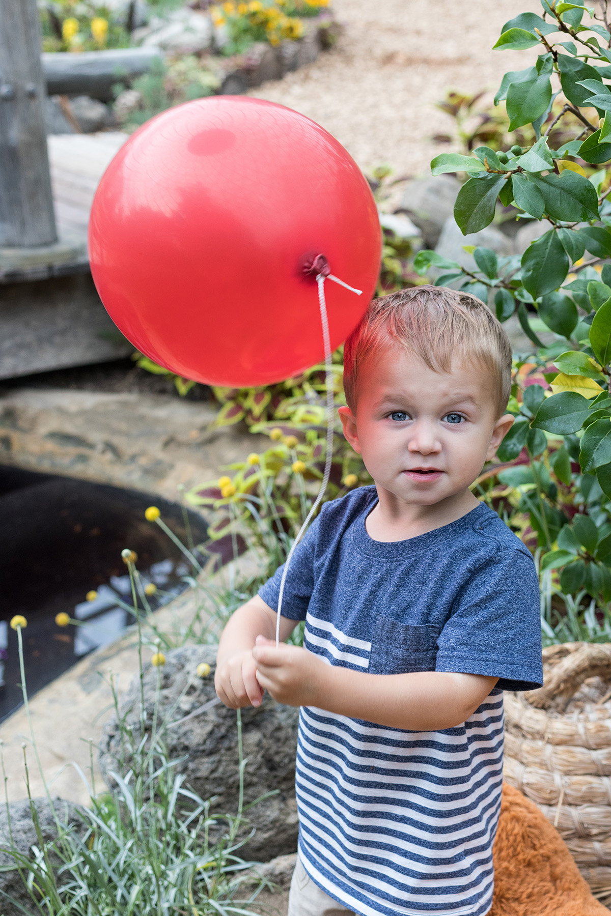 Hundred Acre Wood Fall Floral Show at the Mitchell Park Domes, Milwaukee, WI