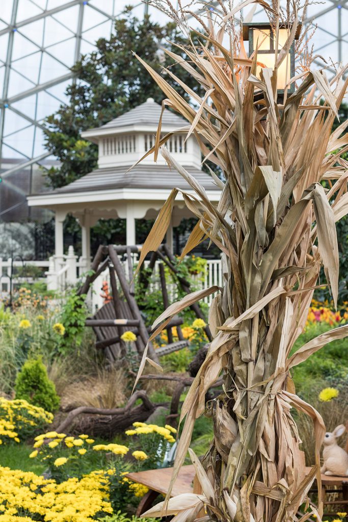 Hundred Acre Wood Fall Floral Show at the Mitchell Park Domes, Milwaukee, WI