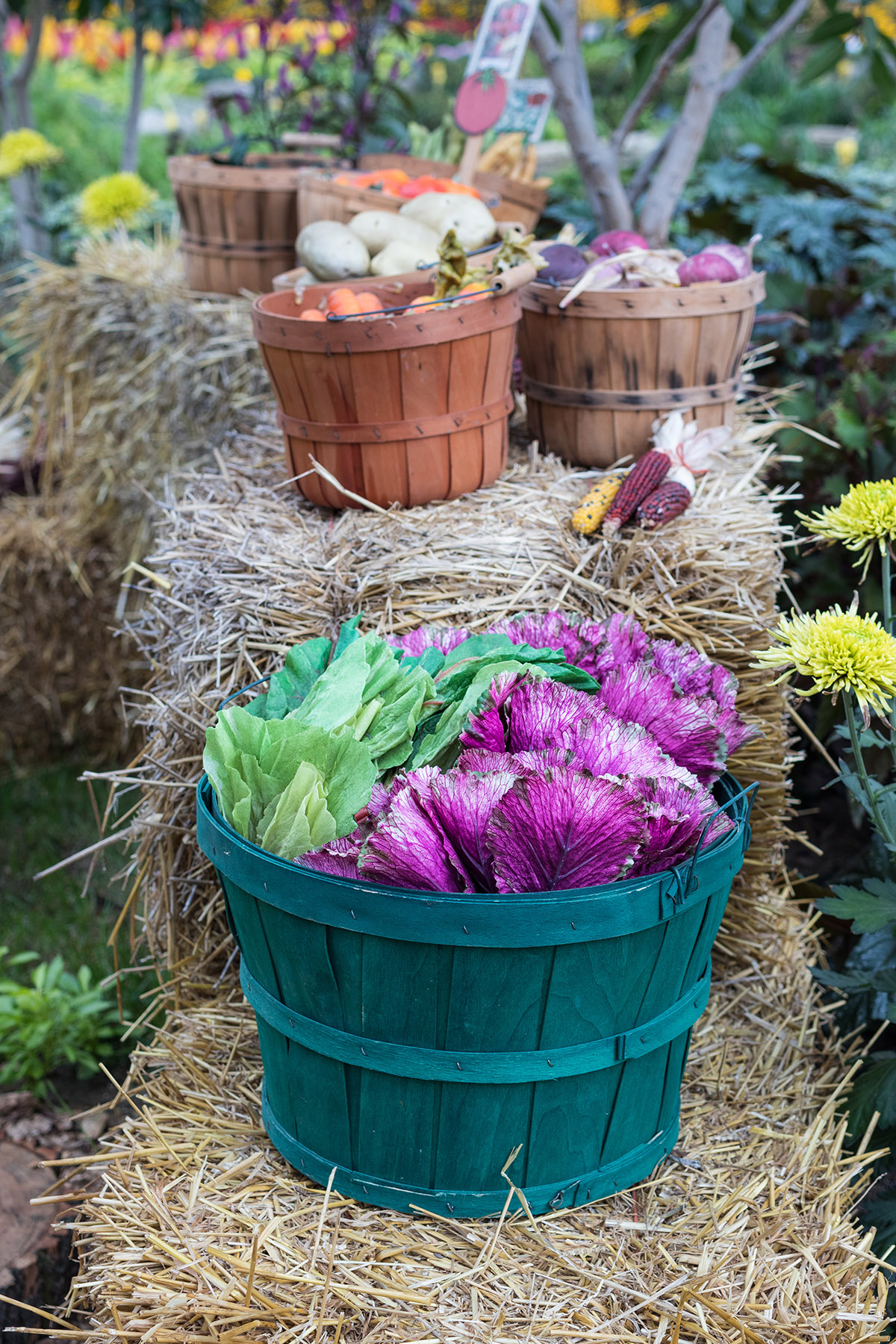 Hundred Acre Wood Fall Floral Show at the Mitchell Park Domes, Milwaukee, WI