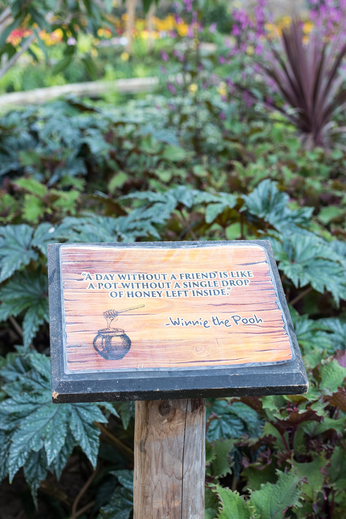 Hundred Acre Wood Fall Floral Show at the Mitchell Park Domes, Milwaukee, WI