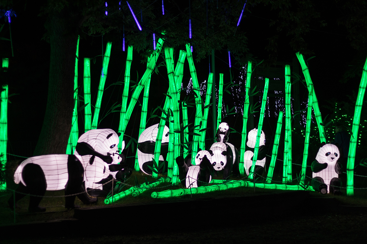 Racine Zoo Lantern Festival 2019, Racine, WI