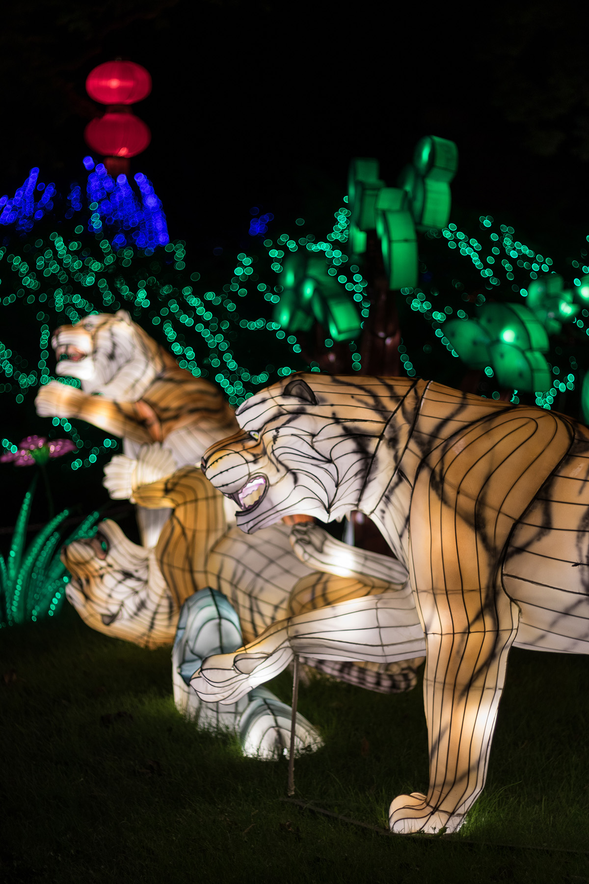 Racine Zoo Lantern Festival 2019, Racine, WI