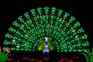Racine Zoo Lantern Festival 2019, Racine, WI