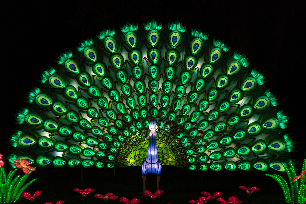 Racine Zoo Lantern Festival 2019, Racine, WI