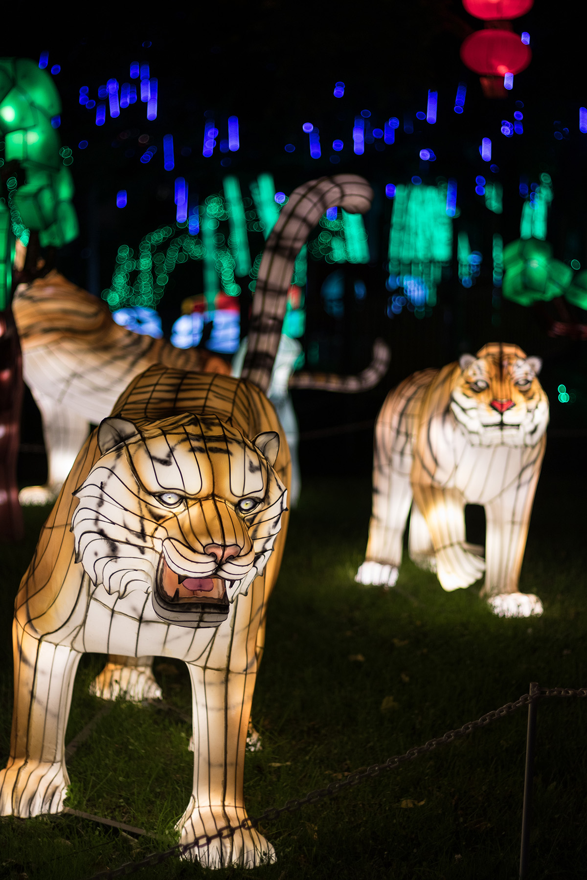 Racine Zoo Lantern Festival 2019, Racine, WI