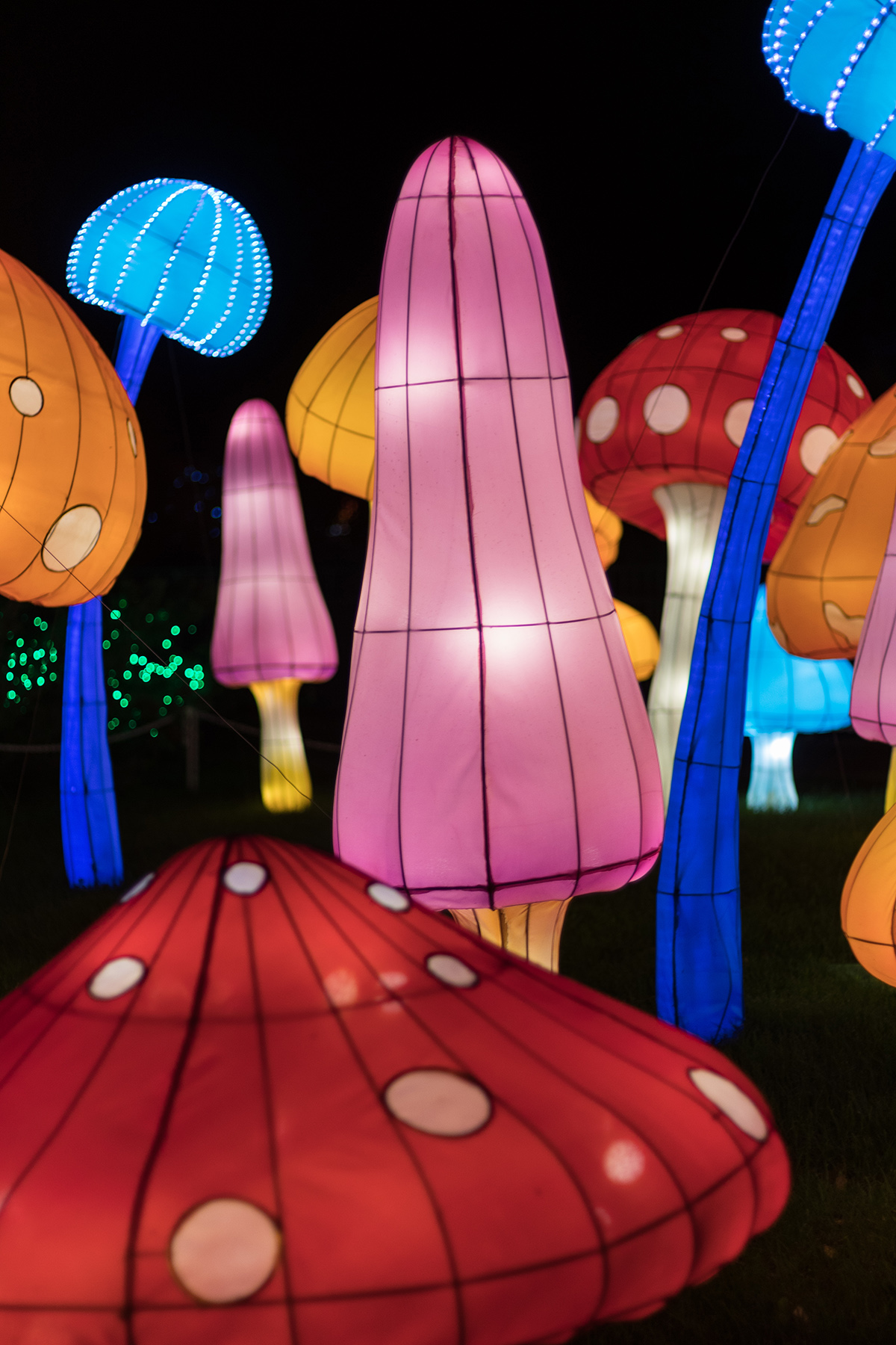 Racine Zoo Lantern Festival 2019, Racine, WI