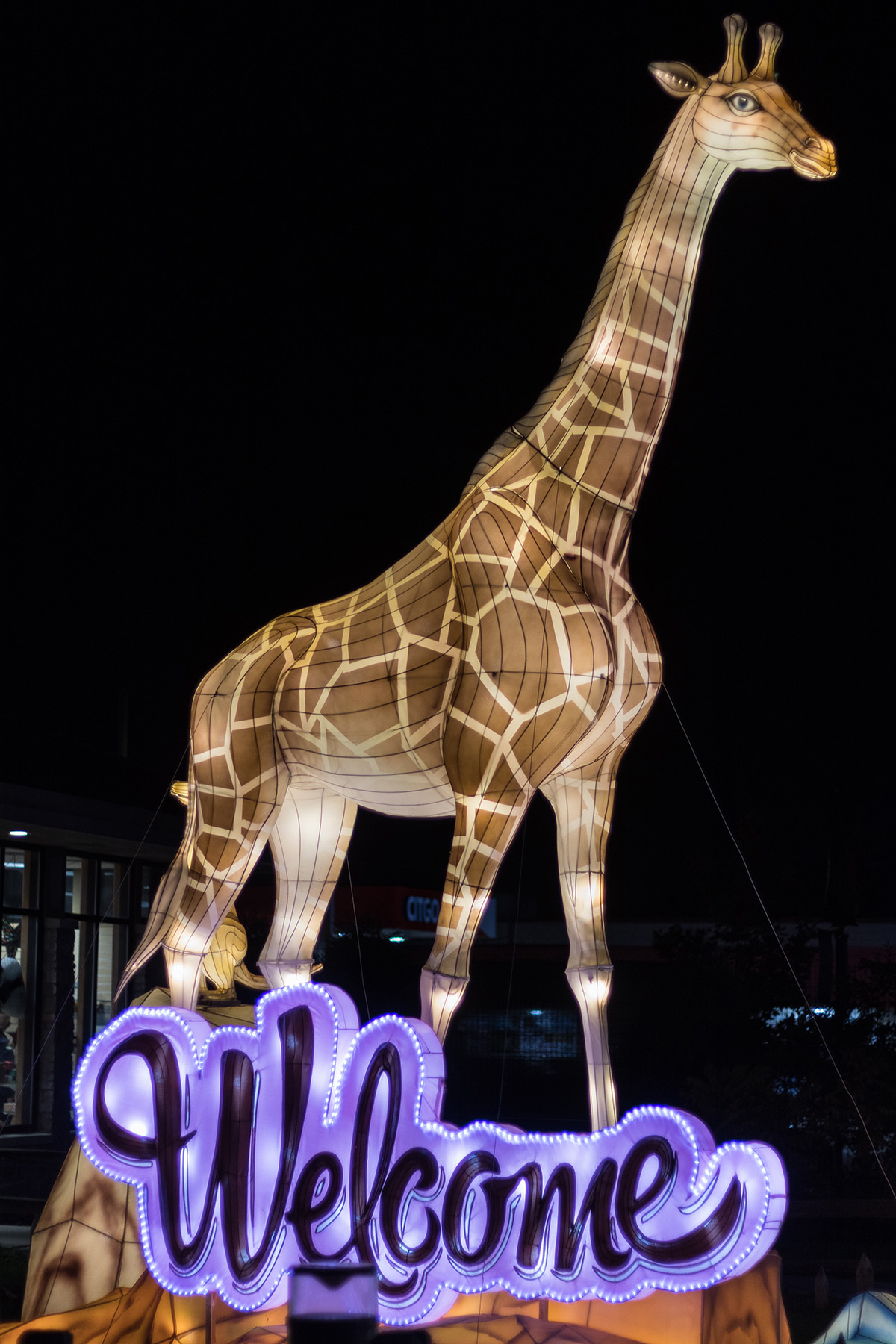 Racine Zoo Lantern Festival 2019, Racine, WI