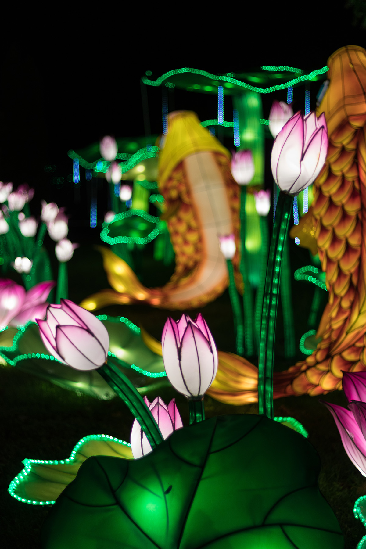 Racine Zoo Lantern Festival 2019, Racine, WI