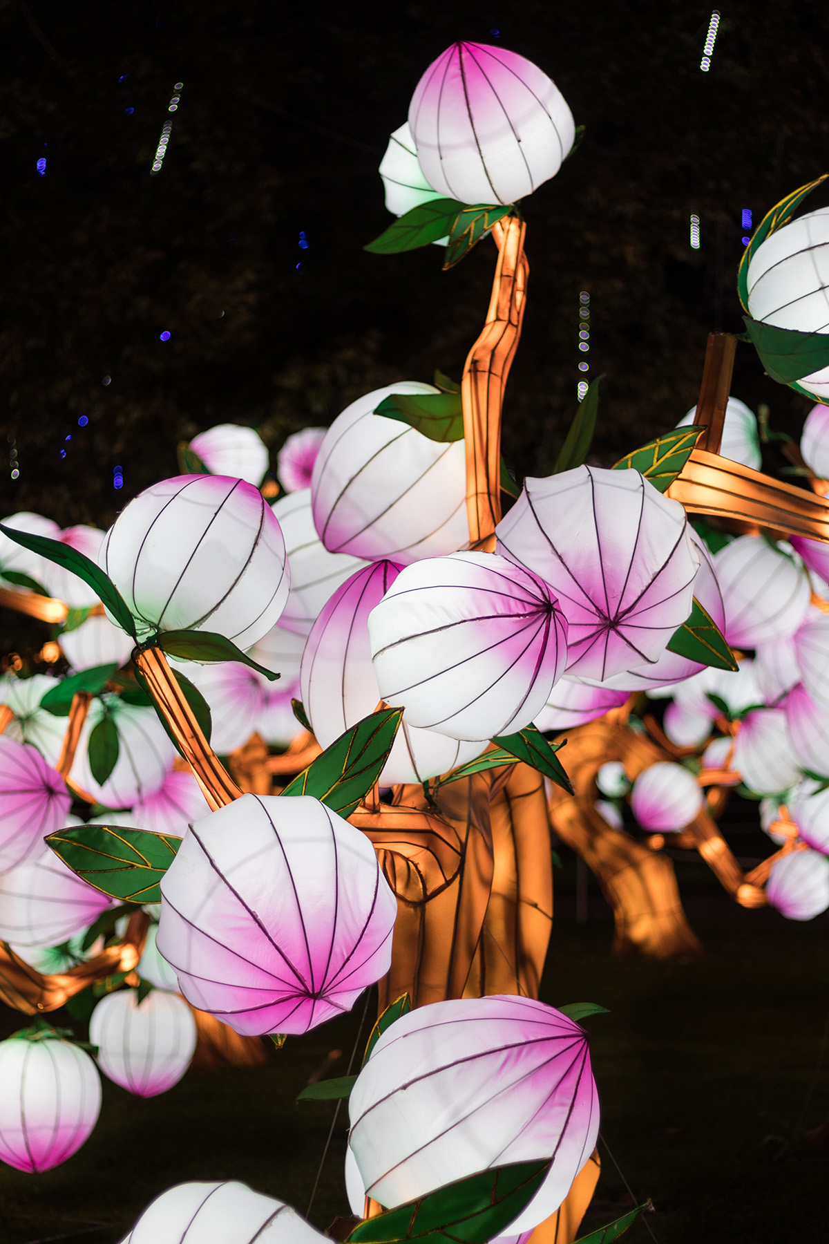 Racine Zoo Lantern Festival 2019, Racine, WI