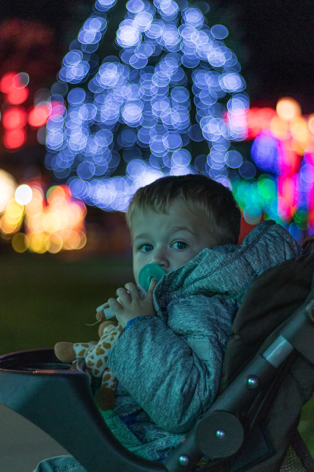 Racine Zoo Lantern Festival 2019, Racine, WI