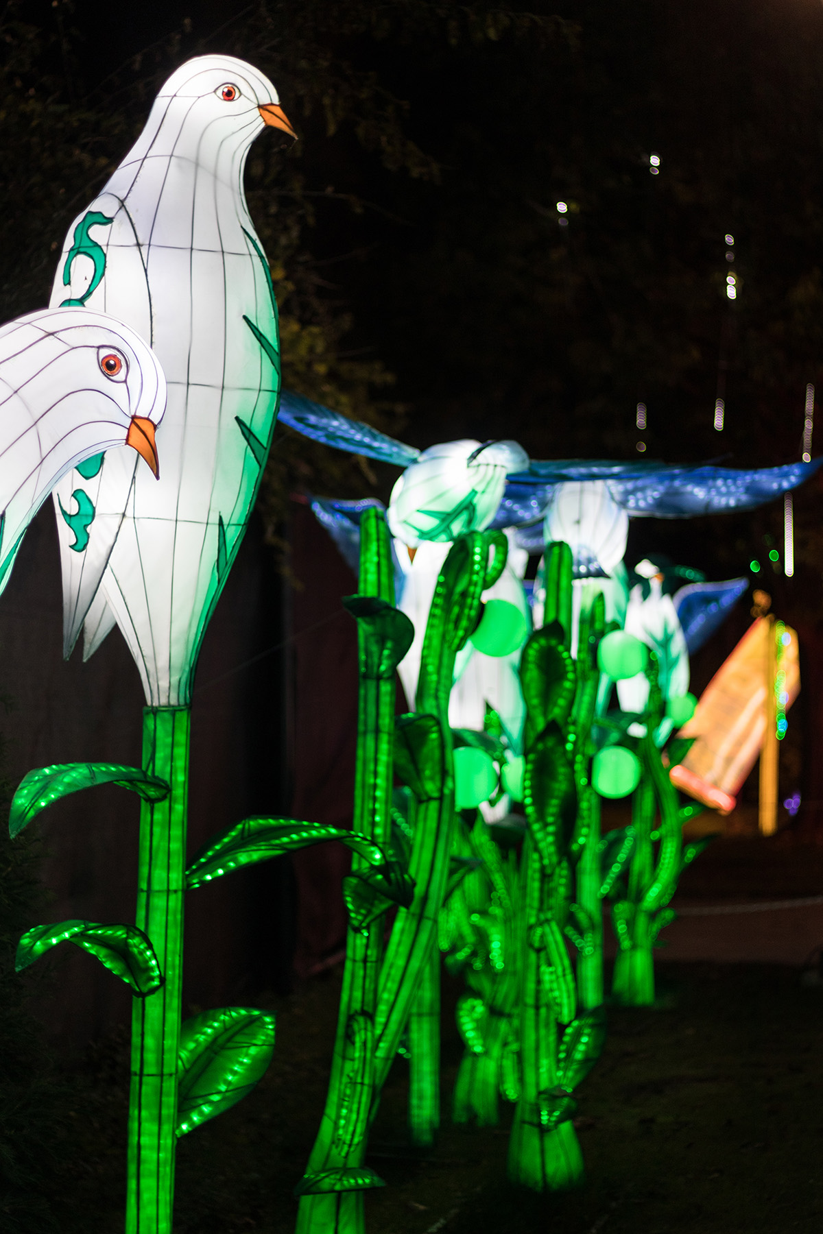 Racine Zoo Lantern Festival 2019, Racine, WI