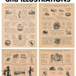 Vintage French Primer Book Pages and Illustrations