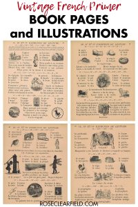 Vintage French Primer Book Pages and Illustrations