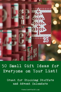 50 Small Gift Ideas for Everyone on Your List