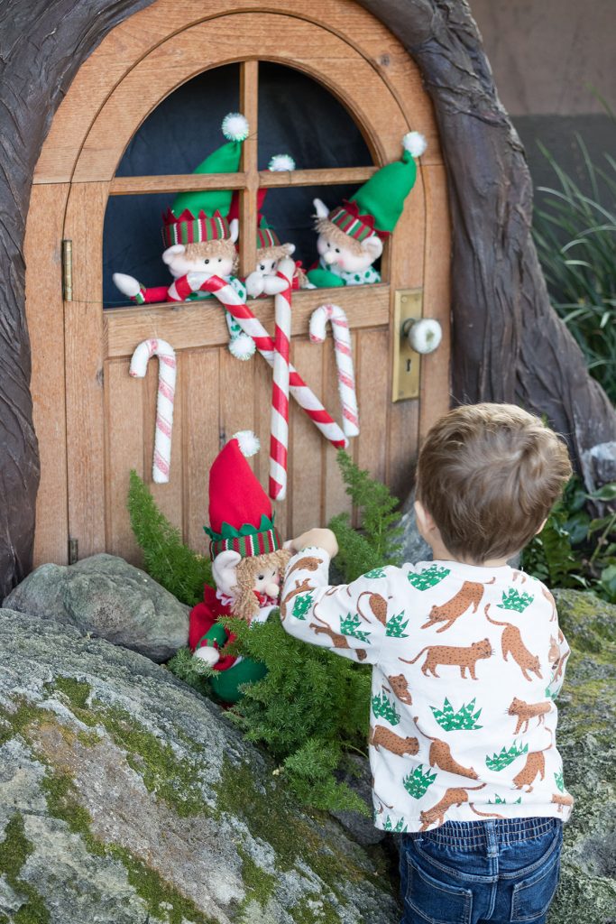 Domes Classic Holiday Garden Show