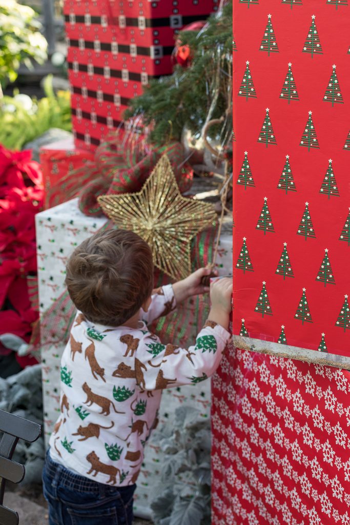 Domes Classic Holiday Garden Show