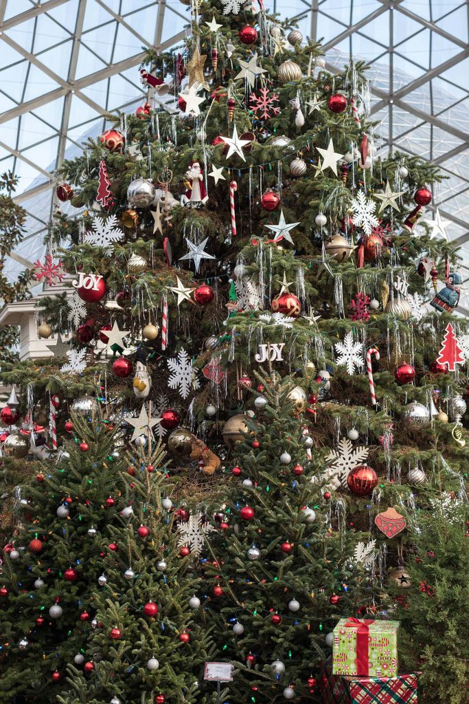 Domes Classic Holiday Garden Show