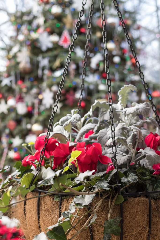 Domes Classic Holiday Garden Show