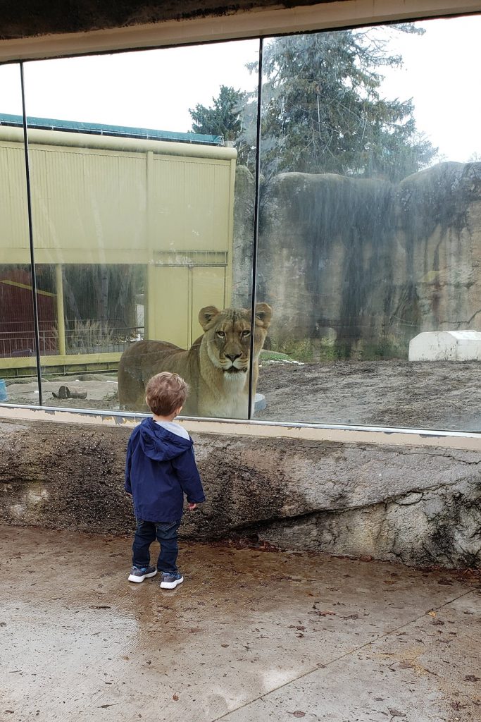 Tommy at the Zoo