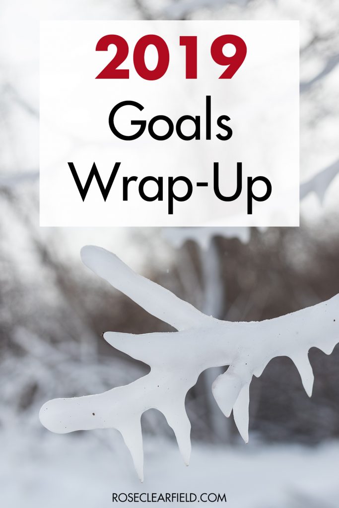 2019 Goals Wrap-Up