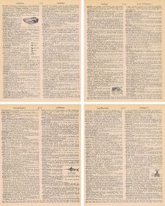 Valentine's Day Dictionary Page Collage