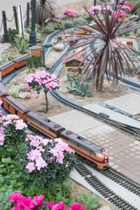 Attack of the Giant Monsters Domes Train Show