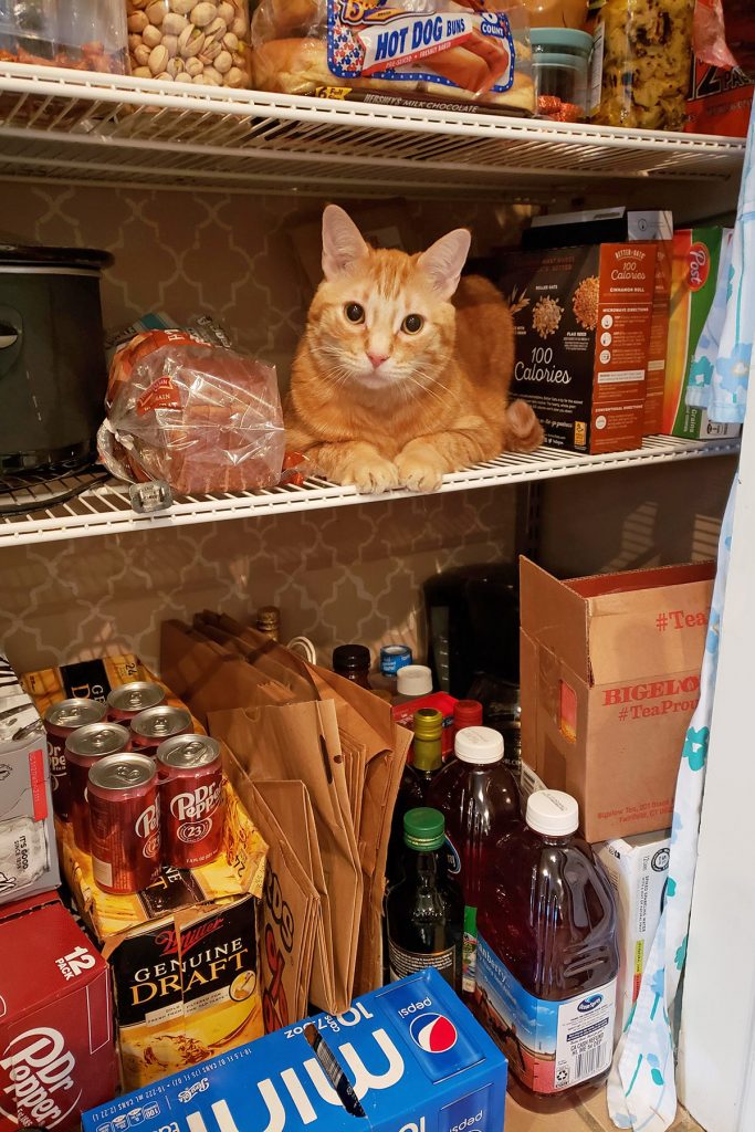 Ares in the Pantry