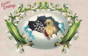 Vintage Easter Postcard Chick in an Egg