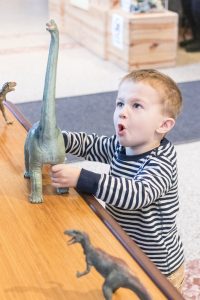 Dinosaur Museum