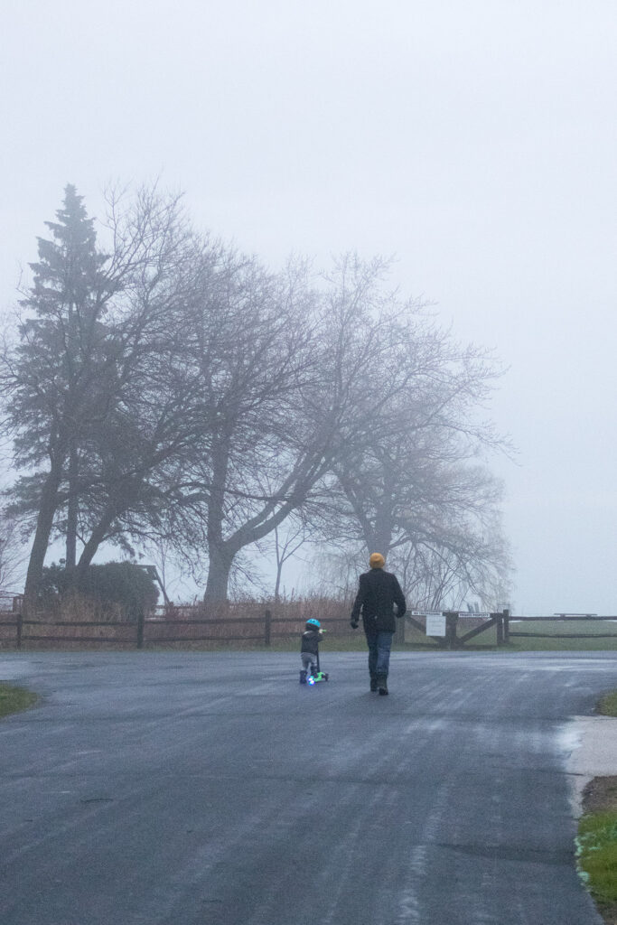 Scooter in the Fog