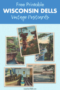 Free Printable Wisconsin Dells Vintage Postcards