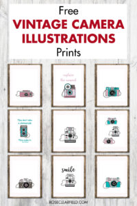 Free Vintage Camera Illustrations Prints