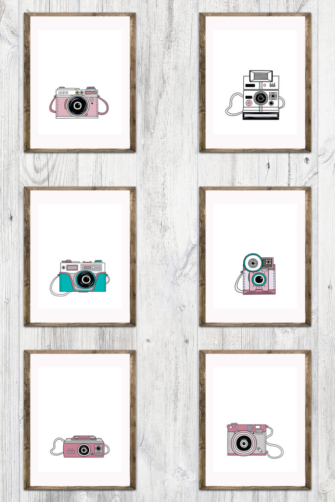 Vintage Camera Illustrations Collage