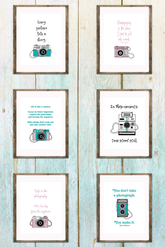 Vintage Camera Illustrations with Quotes