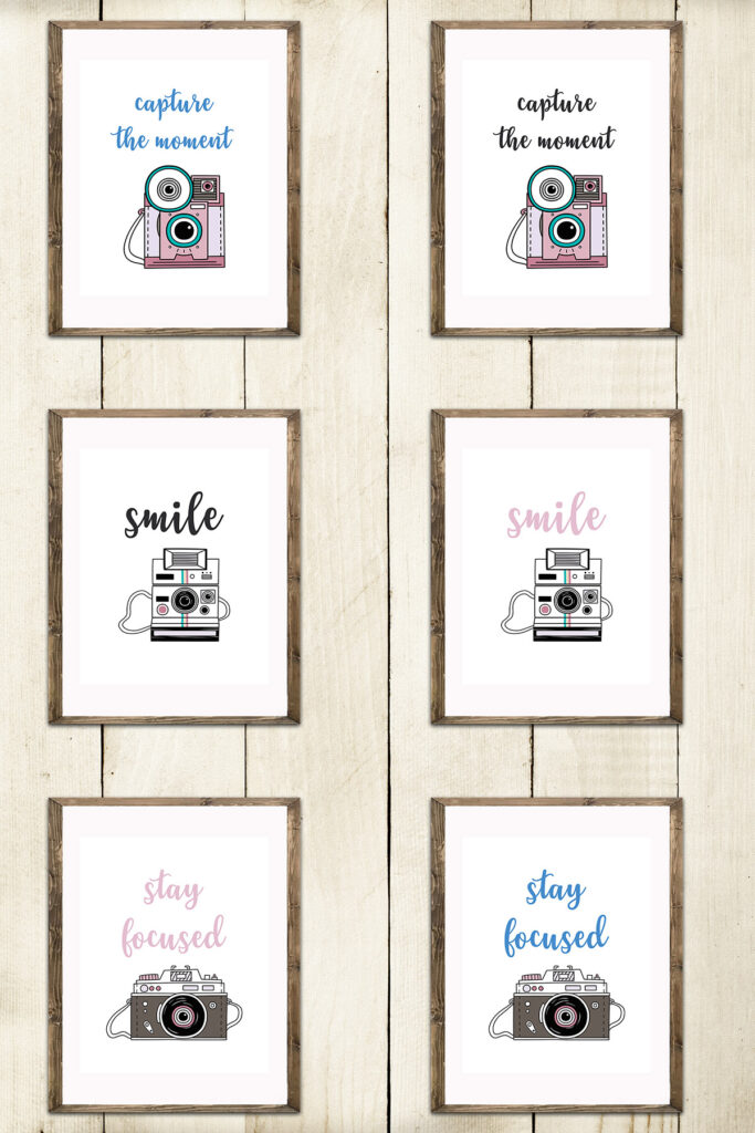 Vintage Camera Illustrations Words and Phrases Collage