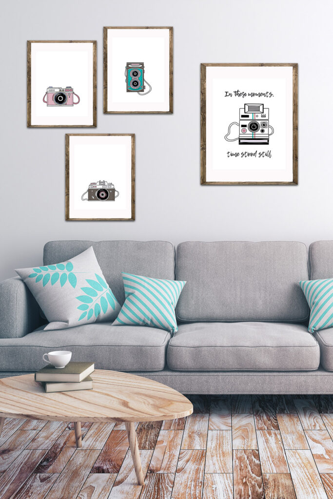 Vintage Camera Illustrations in Living Room