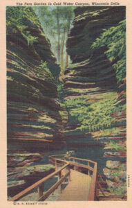 Vintage Postcard Wisconsin Dells The Fern Garden in Cold Water Canyon